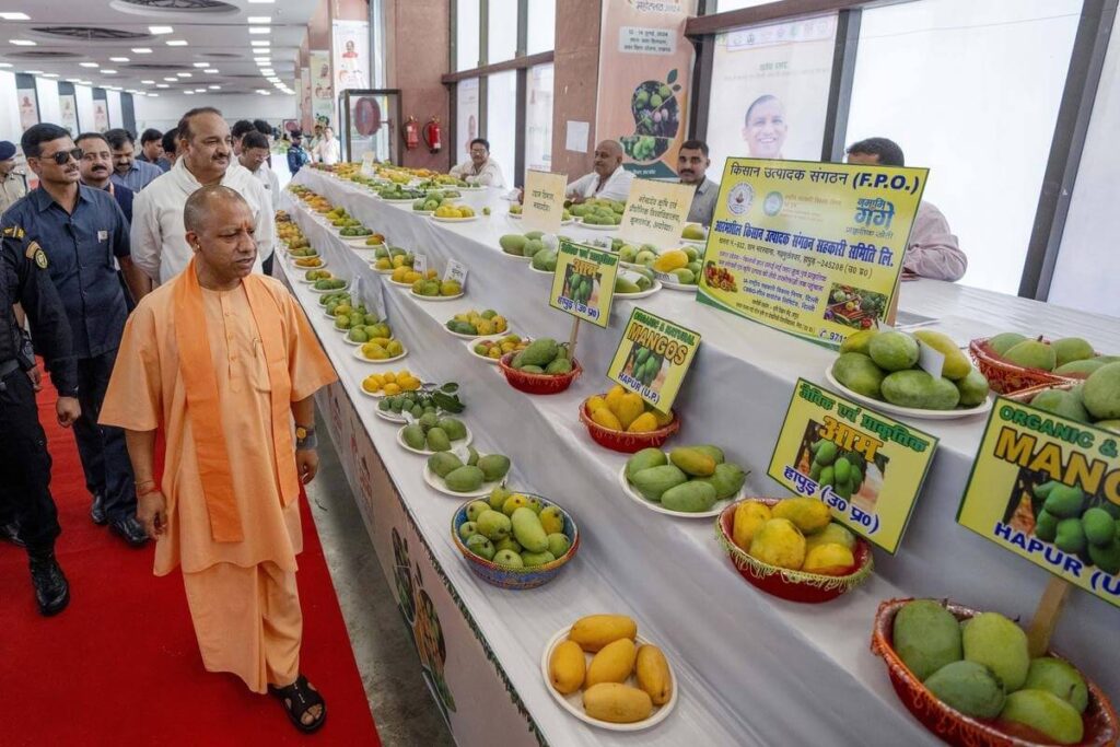 International Mango Festival – Delhi