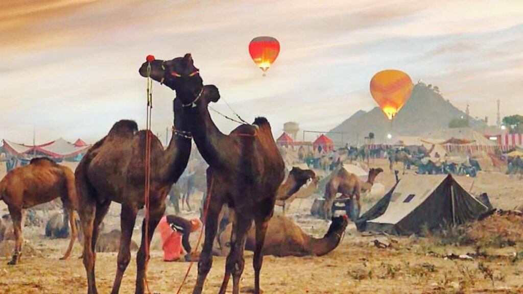 4. Hot Air Balloon Rides in Pushkar Camel Fair