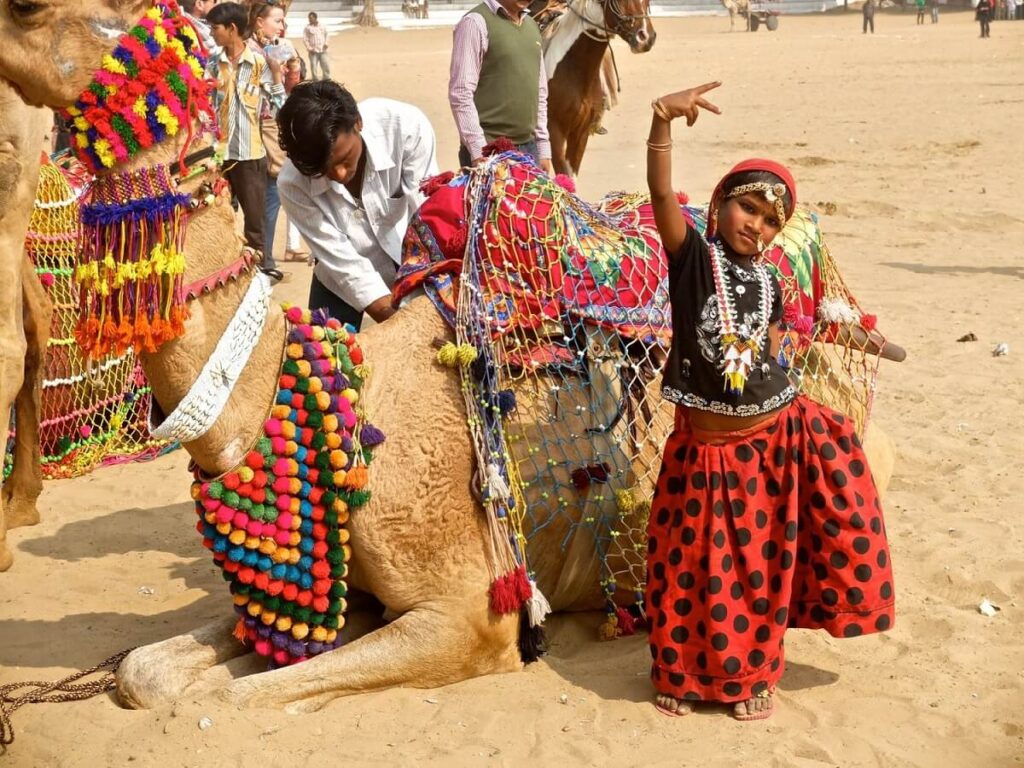 Best Time to Visit in Pushkar Camel Fair