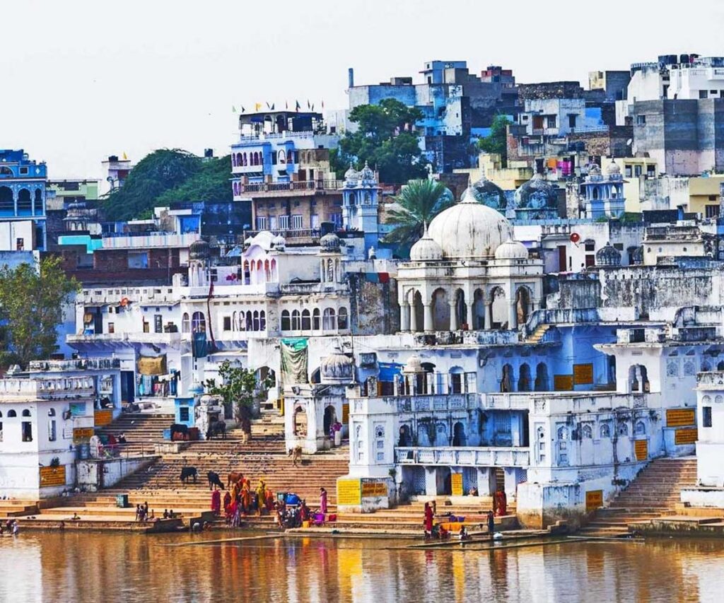 Best Time to Visit in Pushkar Camel Fair