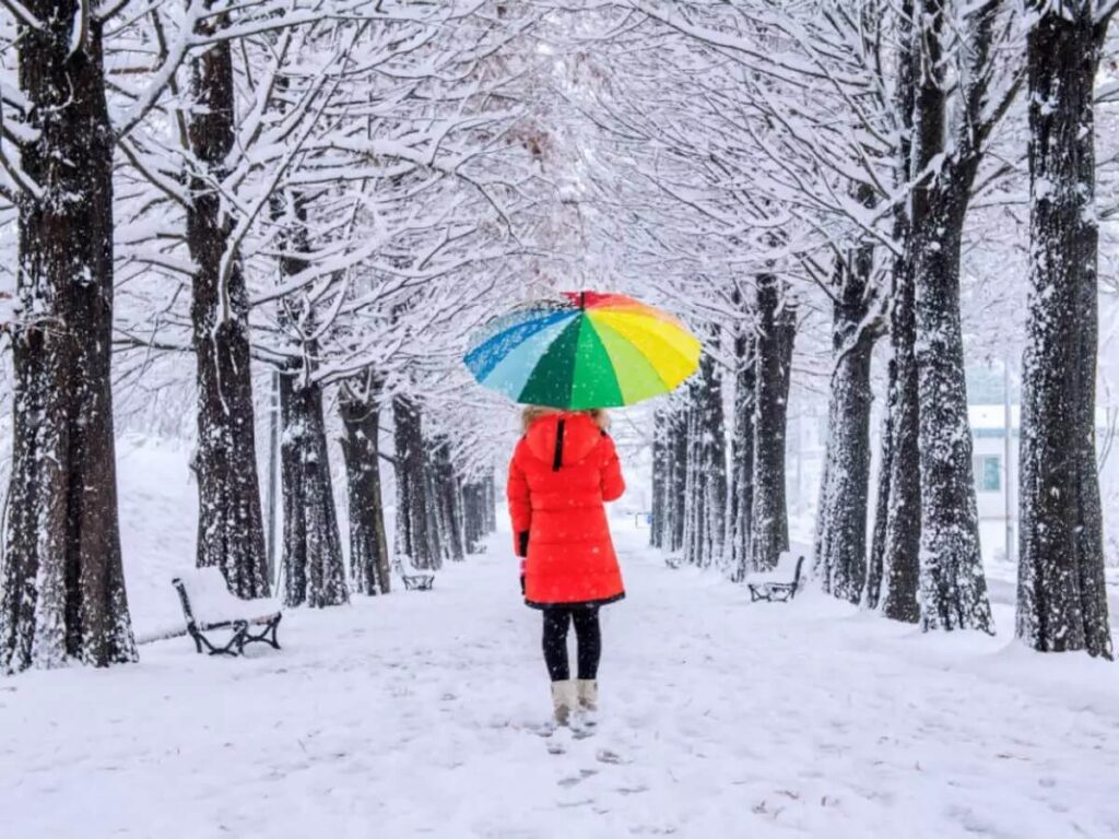 Snowfall in December in India