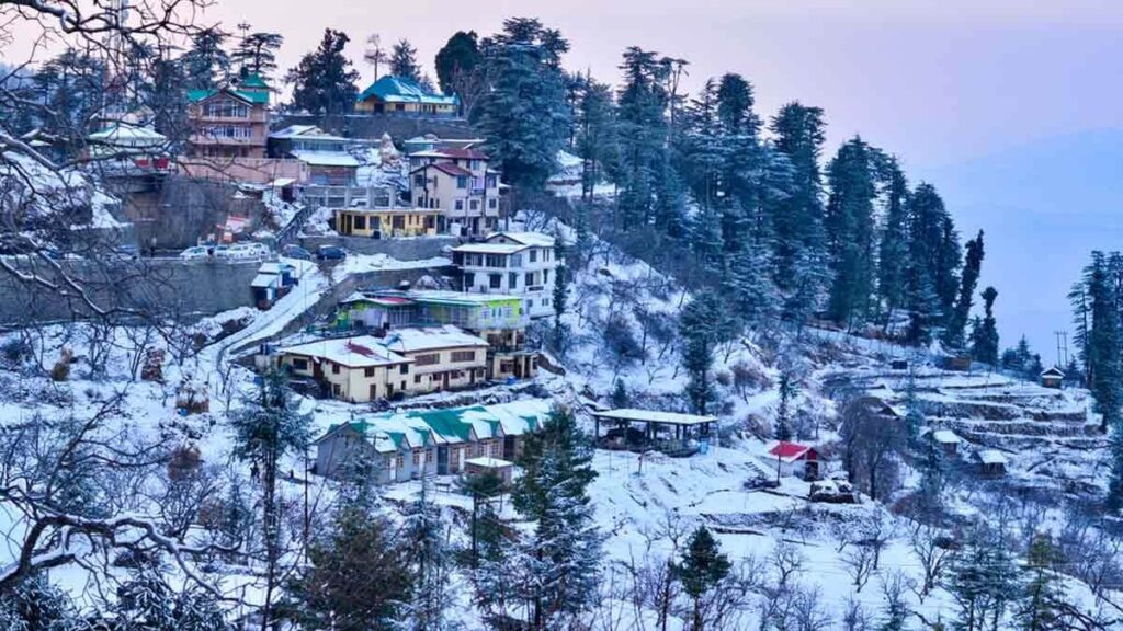 Kufri Himachal Pradesh