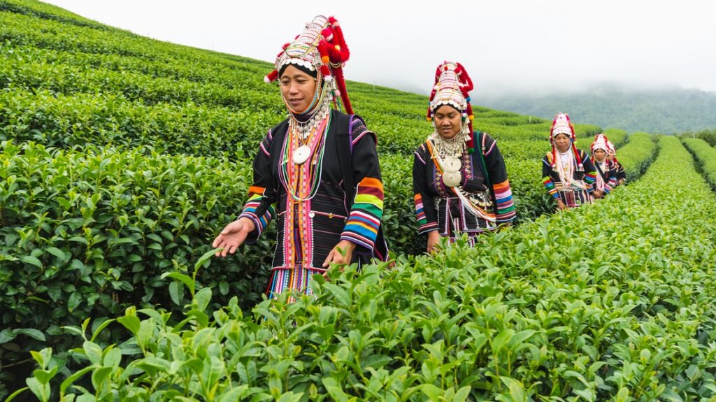 Tea Festival in Assam 2024