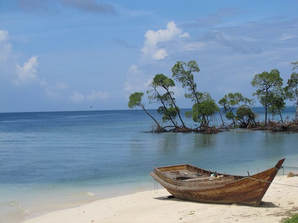 Havelock Island  in Andaman and Nicobar Islands