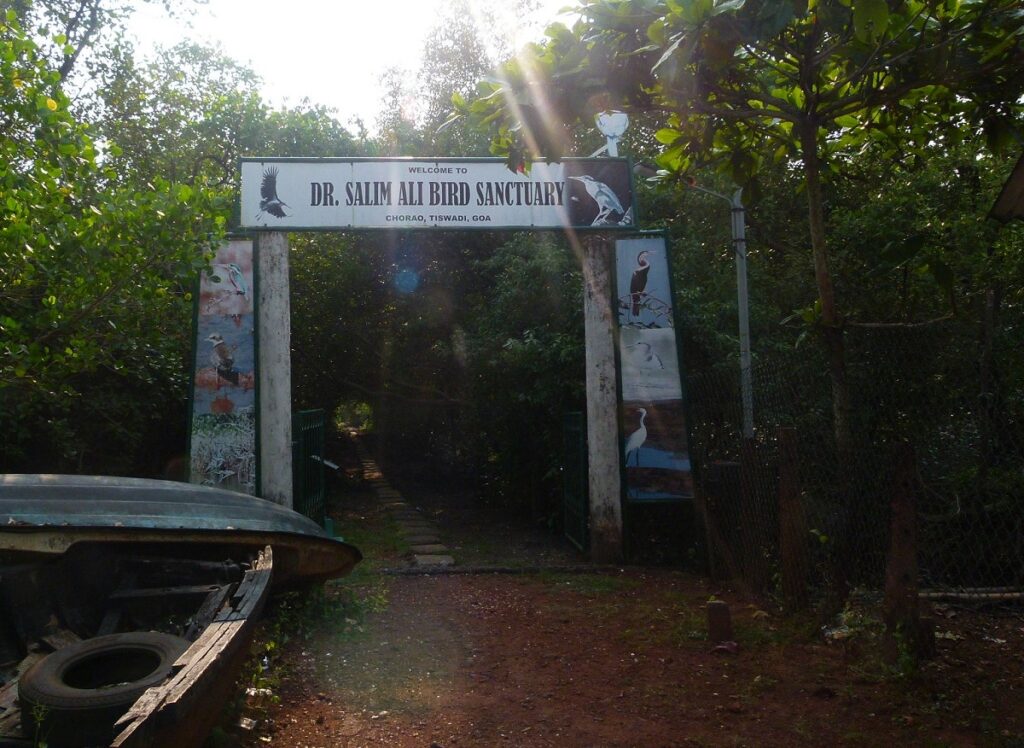 Salim Ali Bird Sanctuary  in Goa