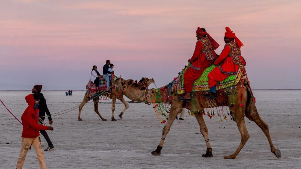 Kutch Gujarat:  Camel Safari