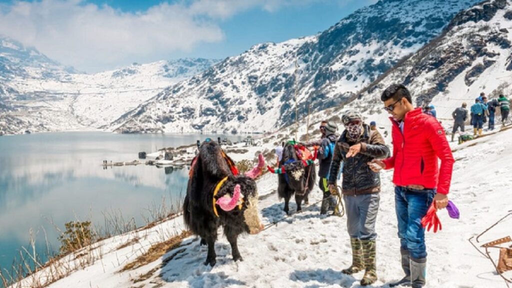 Darjeeling – Tea Gardens and Snowy Peaks