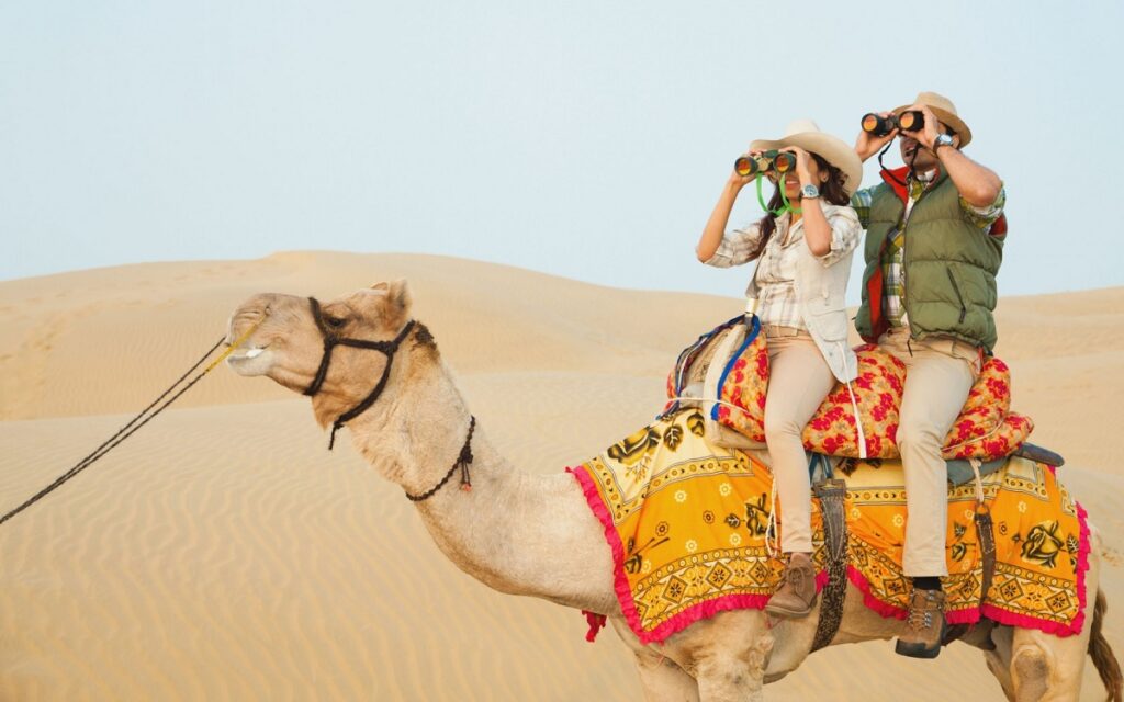 Camel safari in India