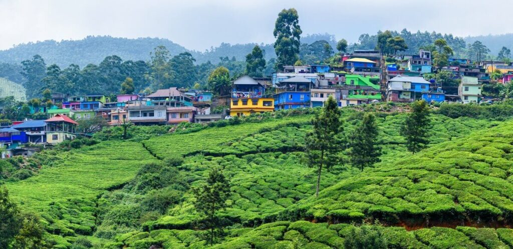 Munnar Kerala