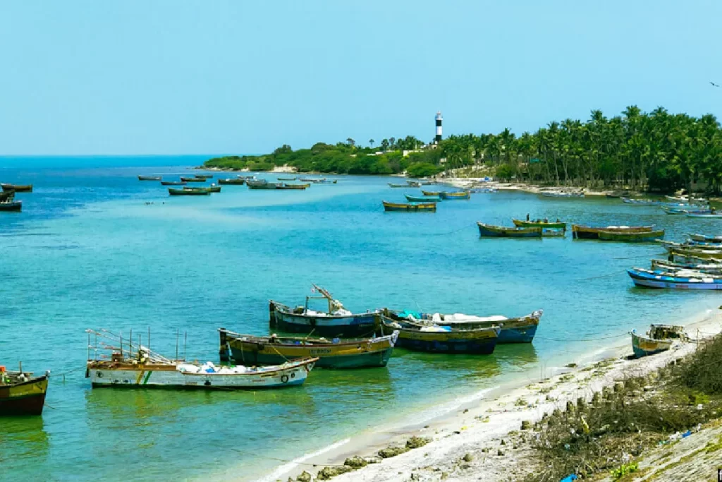 Rameswaram Beach Tamil Nadu
