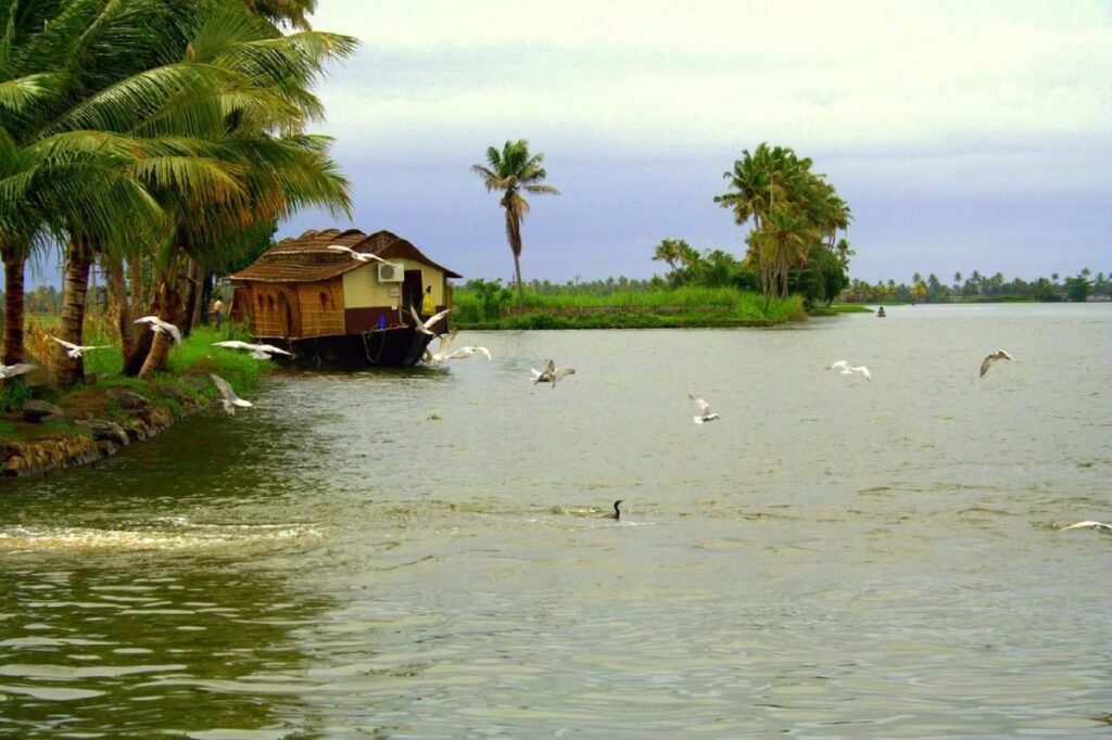 South India Weather in December