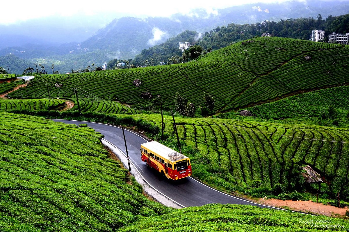 Munnar ' Kerala South India in December