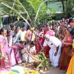 Pongal Festival 2025: Significance and Celebrations in South India