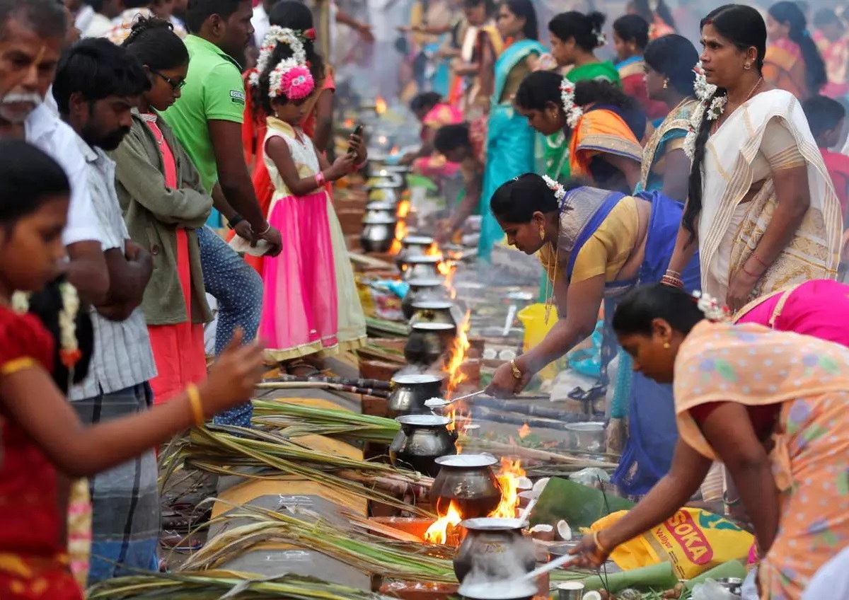 Pongal Rituals and Traditions