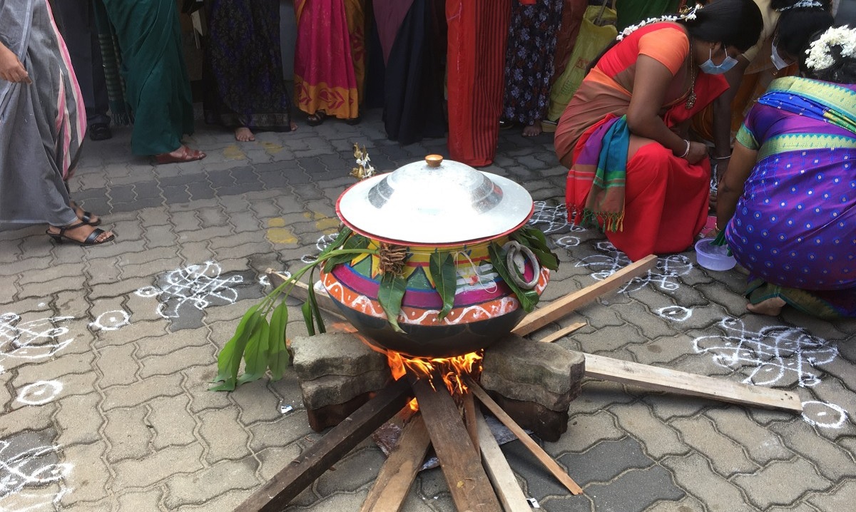 Sustainable Pongal  Festival Practices