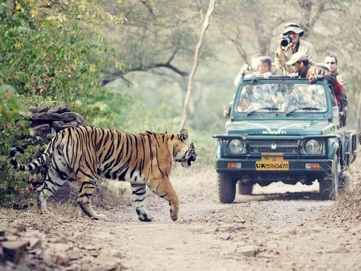 Rajaji National Park