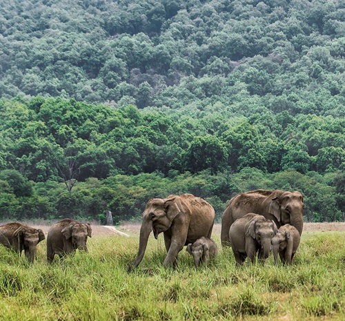 Jim Corbett, Uttarakhand