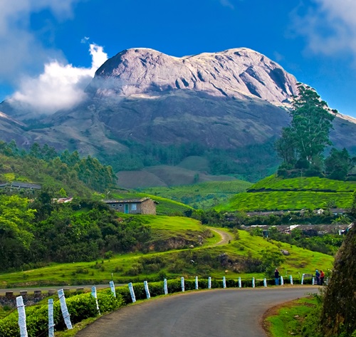 Munnar, Kerala