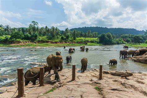 Periyar, Kerala