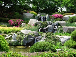 Rock Garden