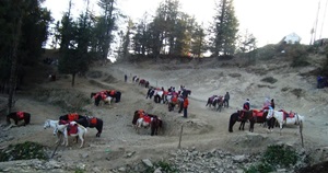 Horse Riding to Mahasu Peak