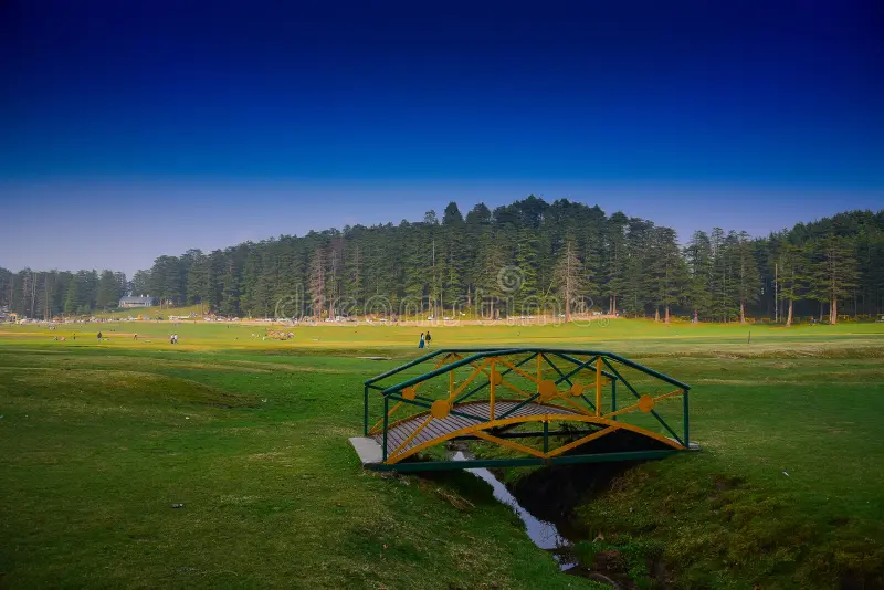 Khajjiar Meadows