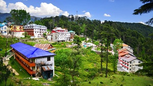 Patnitop