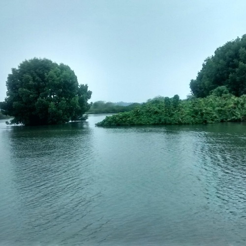 Ashtamudi Lake