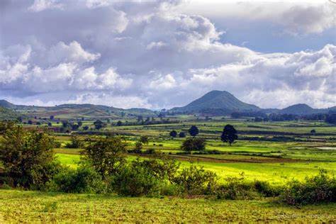 Koraput