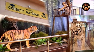 Jim Corbett Museum